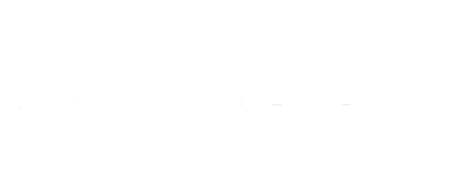 ENDURANCE SEARCH LOGO