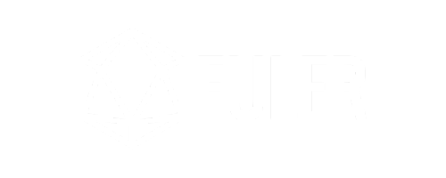 EULER APP LOGO