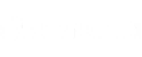 SYNCARI LOGO